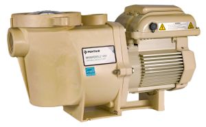 WhisperFlo® VST Variable Speed Pool Pump